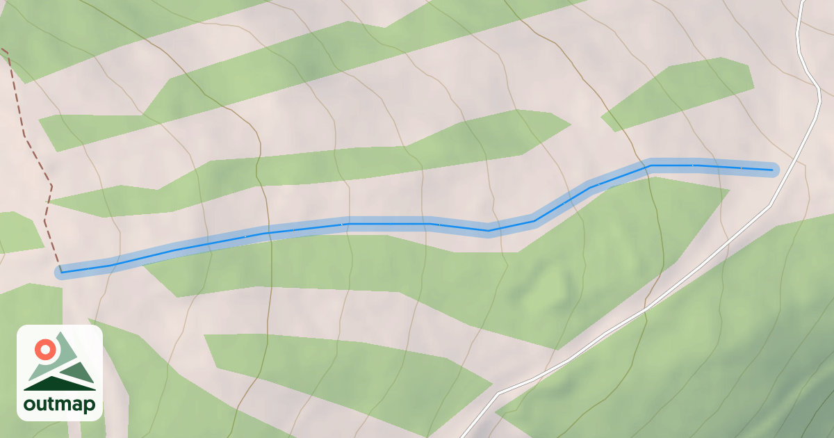 Map of Mouse Run - Upper