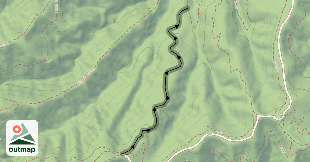 Map of Treehugger