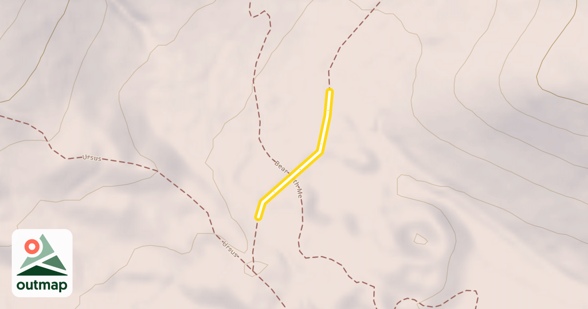 Map of Nexus