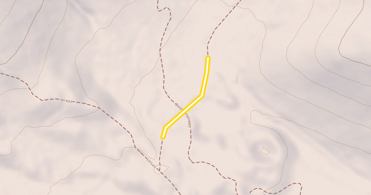 Map preview of Nexus