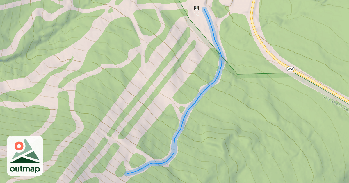 Map of The Willard