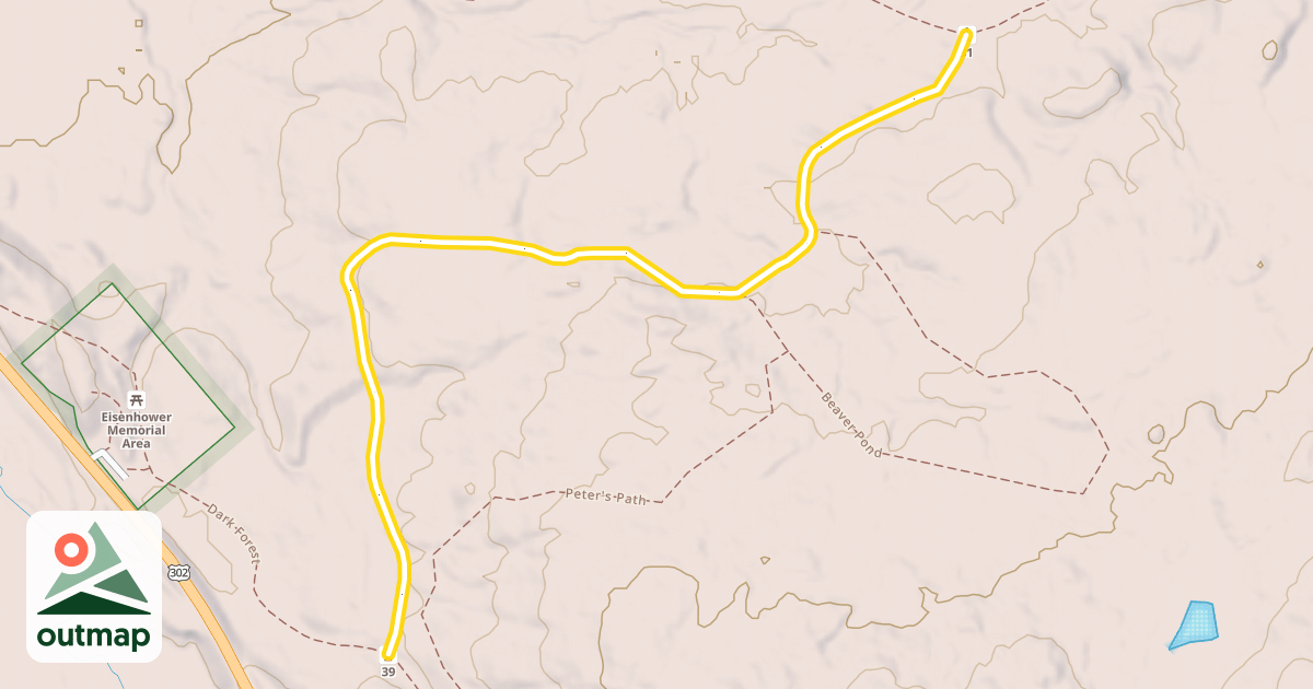 Map of Dark Forest