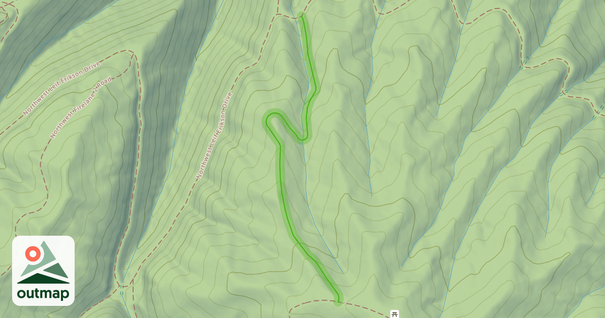 Map of Northwest Firelane 1 Road