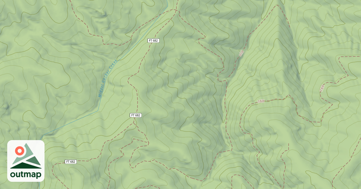 Map of Fern