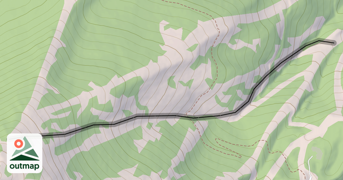 Map of Paradise