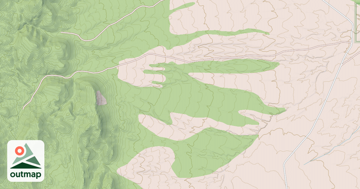 Map of USFS National Forest System Roads {2605415B-7516-4637-A303-A05B0B0AAEF6}