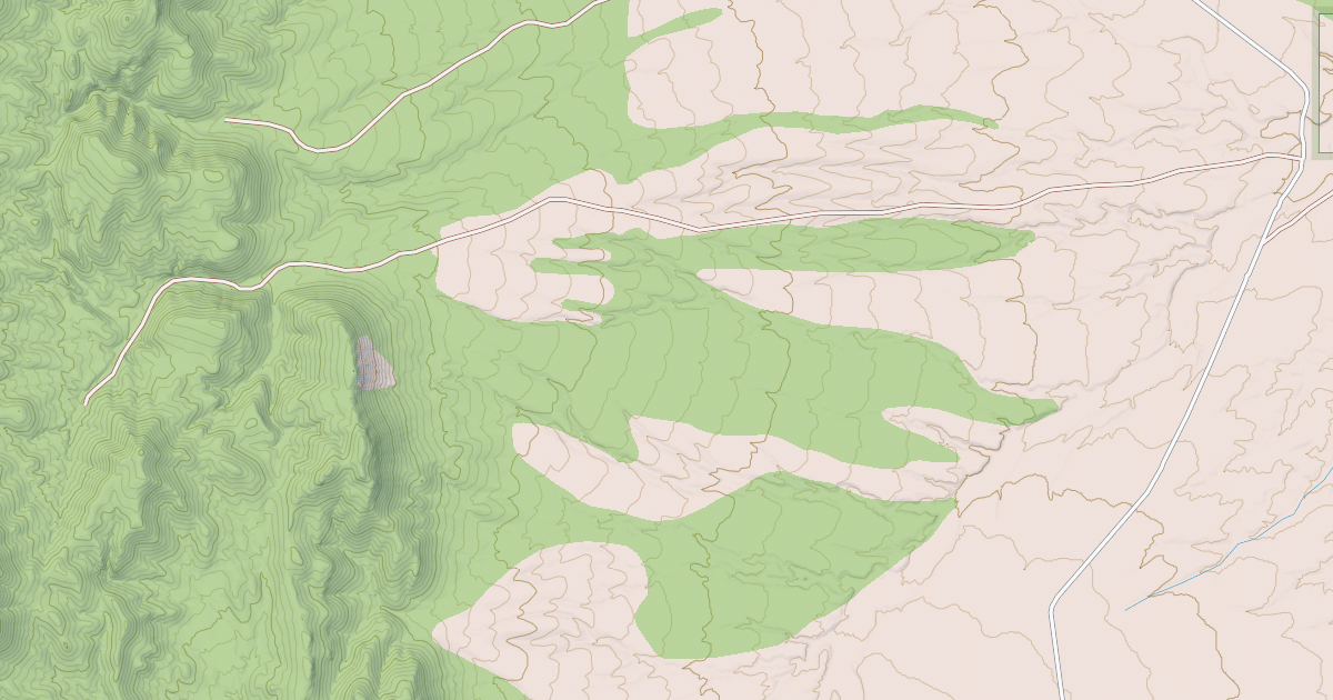 Map preview of USFS National Forest System Roads {2605415B-7516-4637-A303-A05B0B0AAEF6}