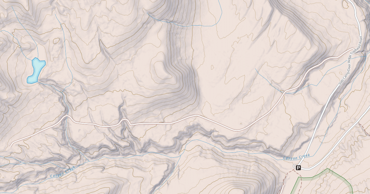Map preview of USFS Motor Vehicle Use Map Roads {0E784313-CBF4-49FA-88B8-2F041C93A767}