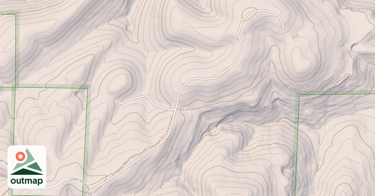 Map of USFS National Forest System Roads {DD47067C-20E6-44B8-B321-9A7A730B20DE}