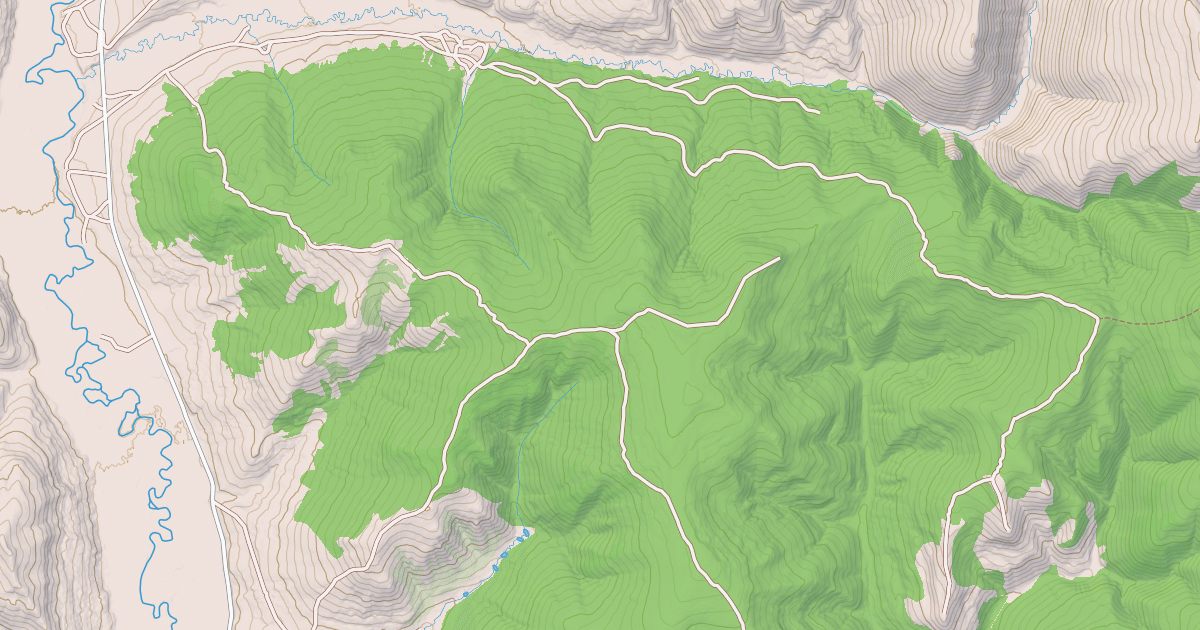 Map preview of EAST FORK RIDGE
