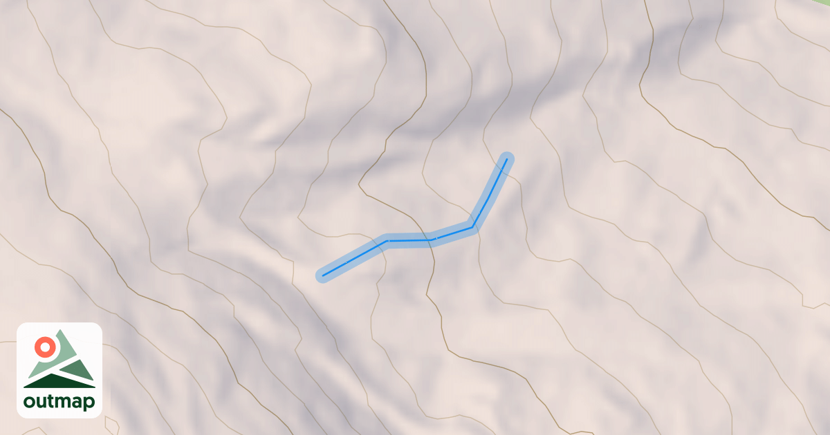 Map of Coy Dog