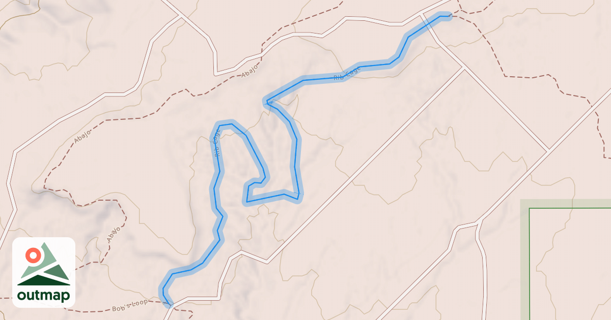 Map of Rib Cage
