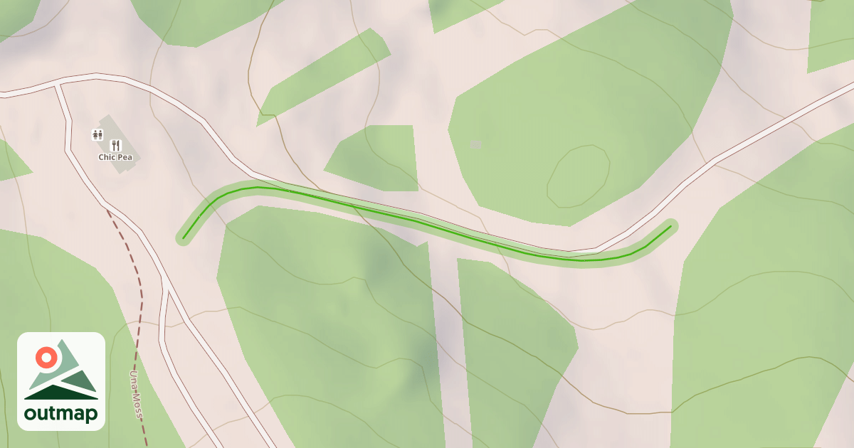 Map of Pig Alley