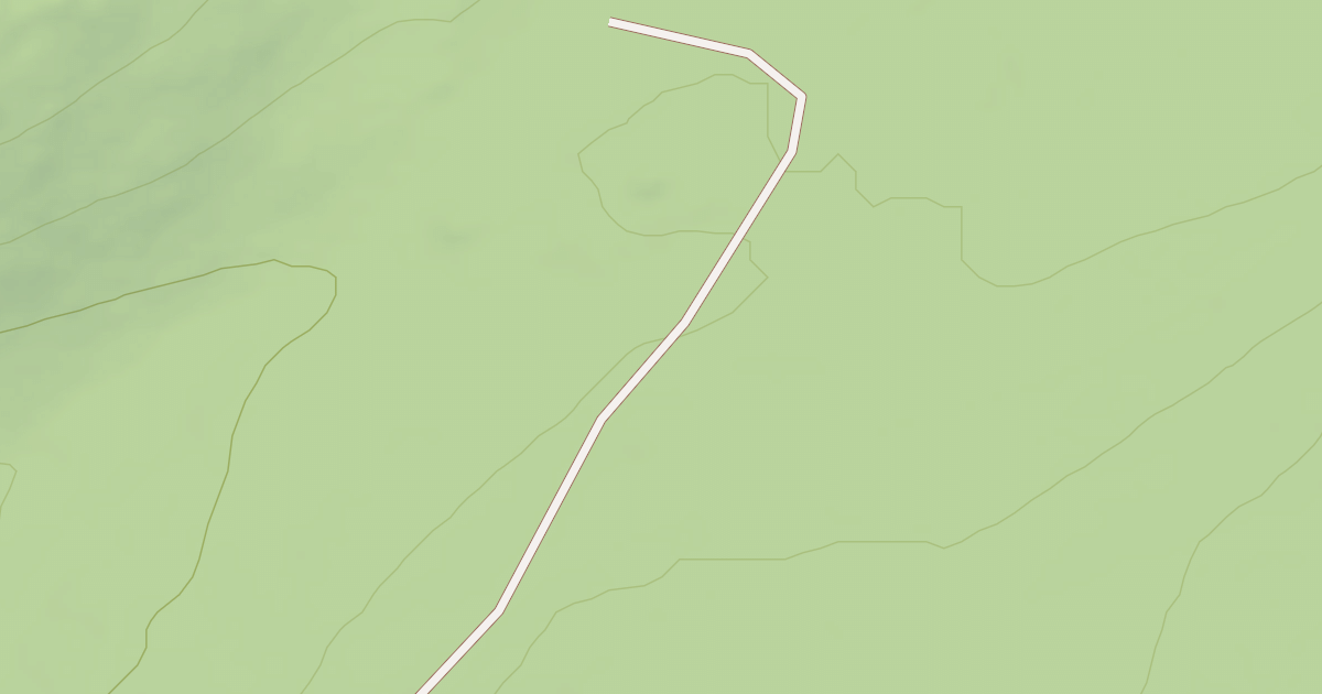 Map preview of BLM National GTLF Public Motorized Roads 3f365fce-dec6-4717-aa69-a2468d431c13