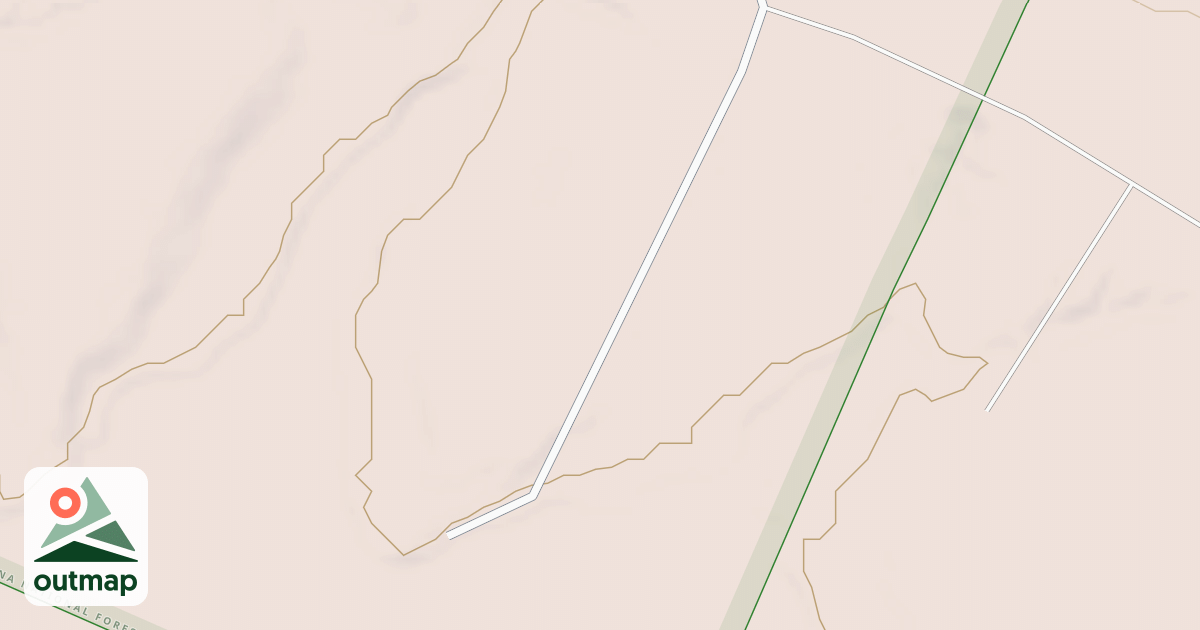 Map of USFS National Forest System Roads {AAFDBD73-26DF-48E2-8B52-0D4612541517}