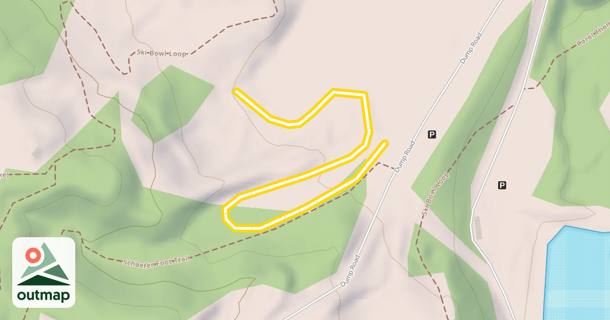 Map of Blueberry Patch