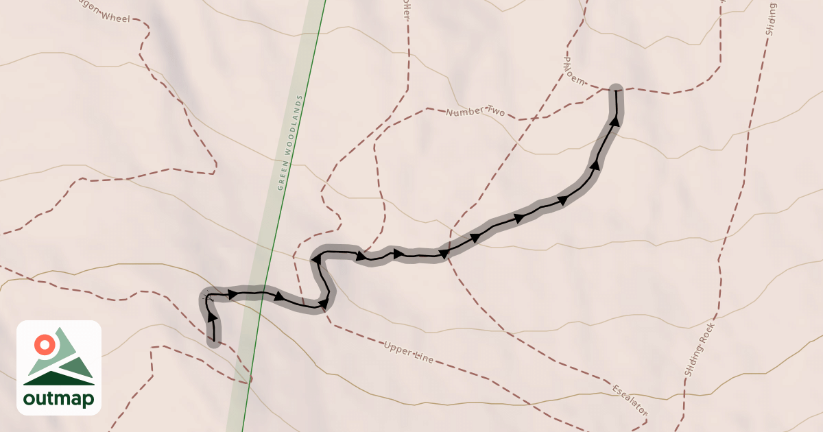 Map of Xylem