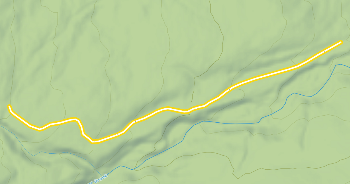 Map preview of Skyline