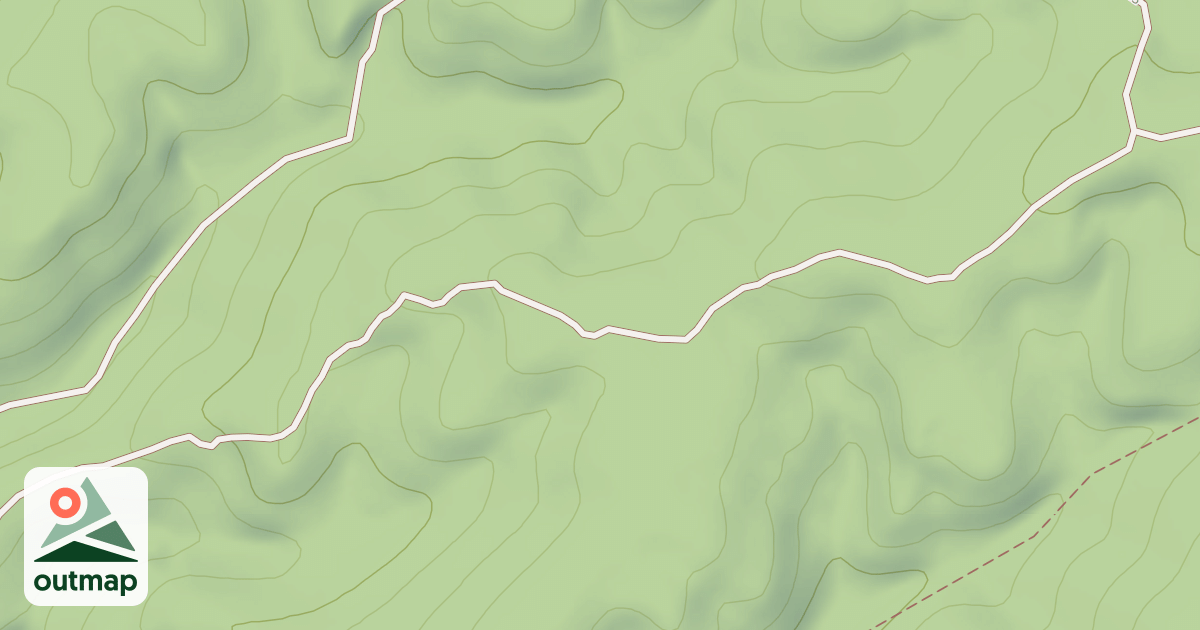 Map of WHALES