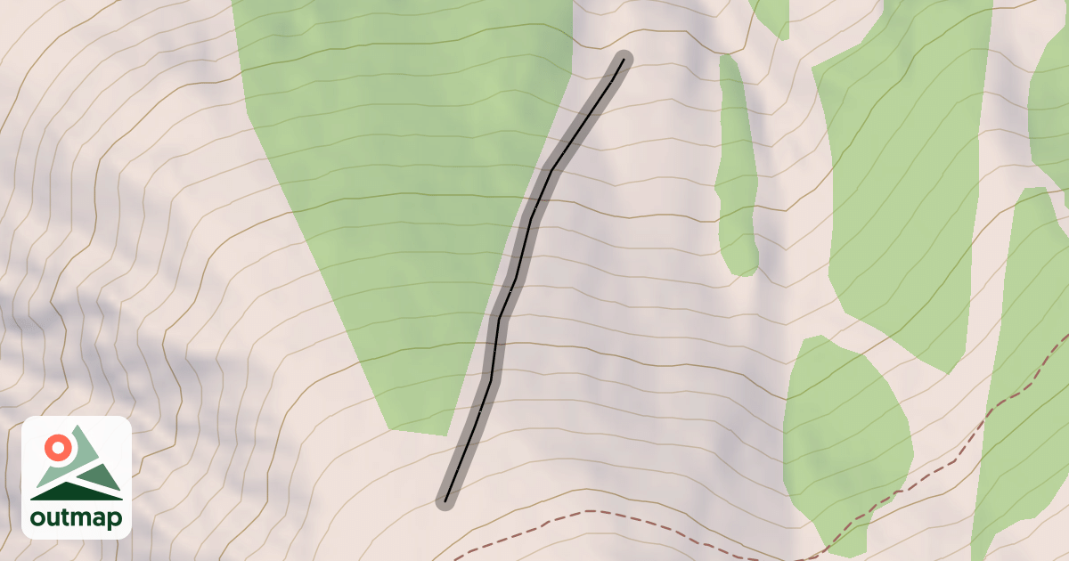 Map of David's Run