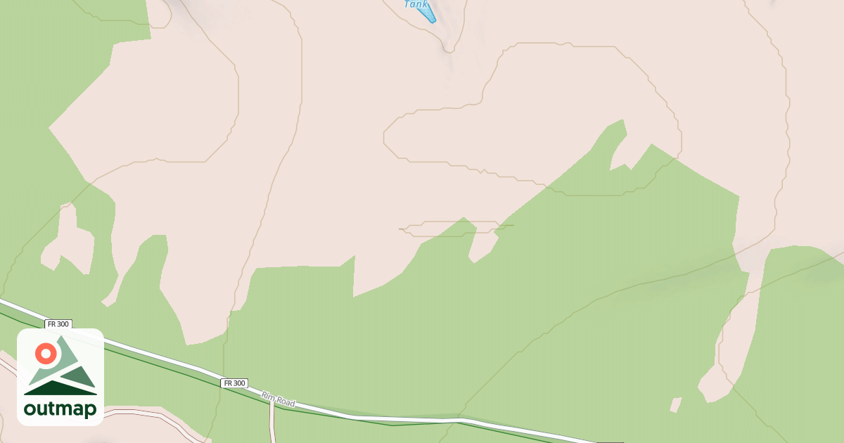 Map of USFS National Forest System Roads {C750EE73-E619-4594-AB19-95CAC0152056}
