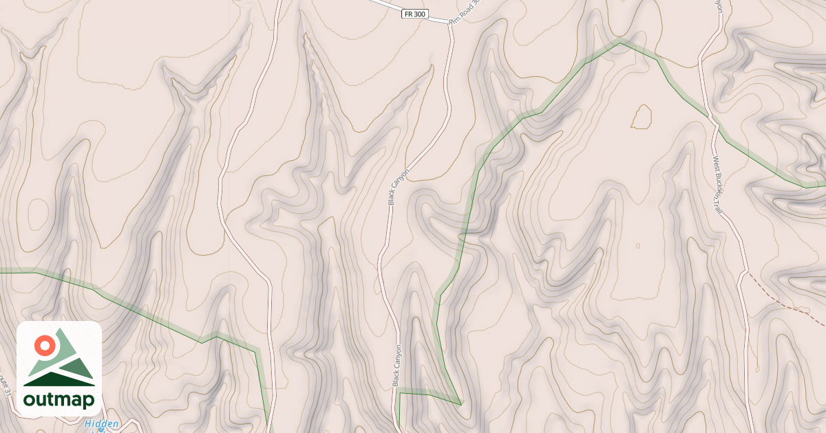 Map of USFS National Forest System Roads {6B1293C3-E51D-488C-83AB-71B2E751AB1D}
