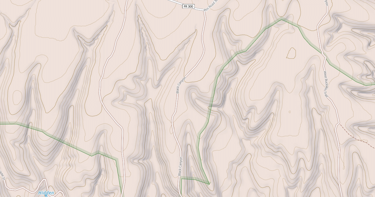Map preview of USFS National Forest System Roads {6B1293C3-E51D-488C-83AB-71B2E751AB1D}