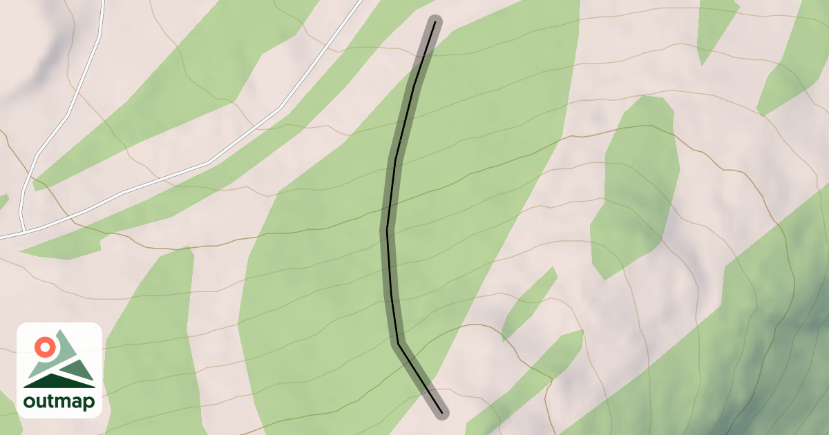 Map of Furgal's Forest
