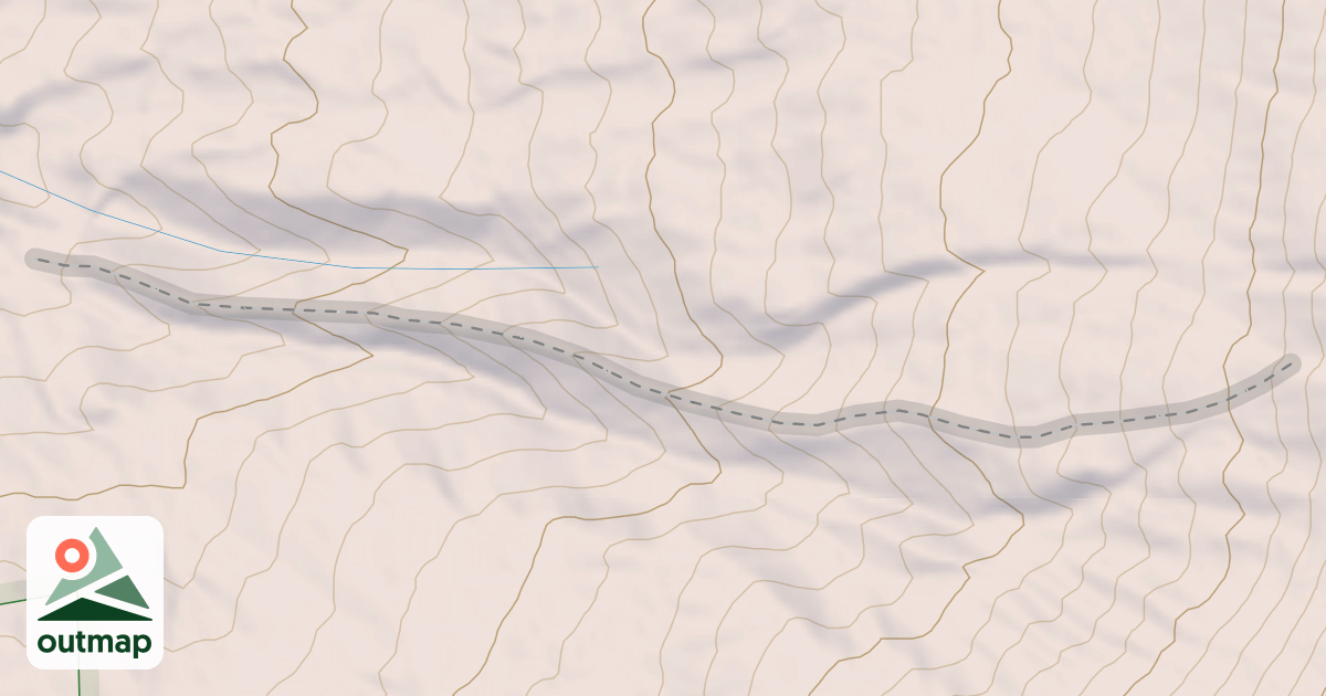 Map of Spine