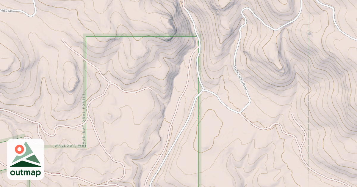 Map of USFS National Forest System Roads {36FE0D3C-616E-446A-BC62-CA0E739A0E70}