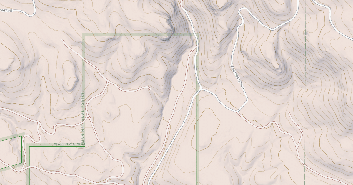 Map preview of USFS National Forest System Roads {36FE0D3C-616E-446A-BC62-CA0E739A0E70}