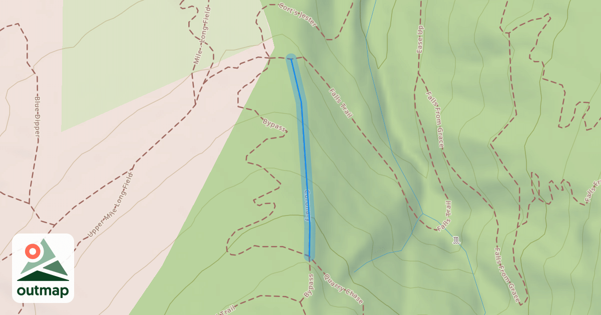 Map of Coronary