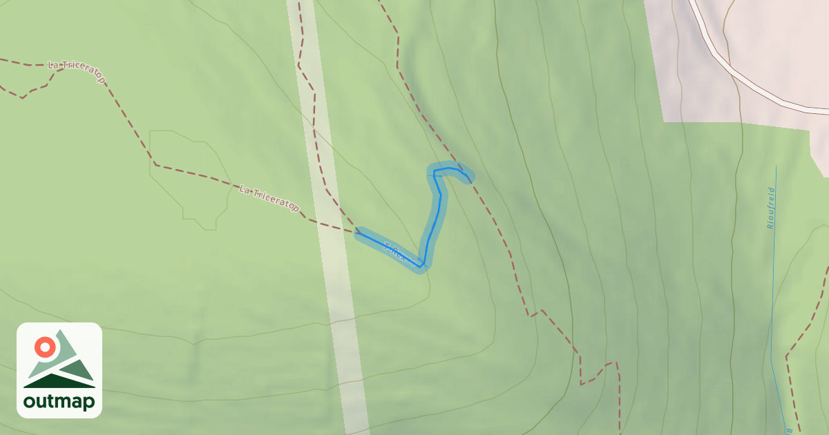 Map of T-Rex++