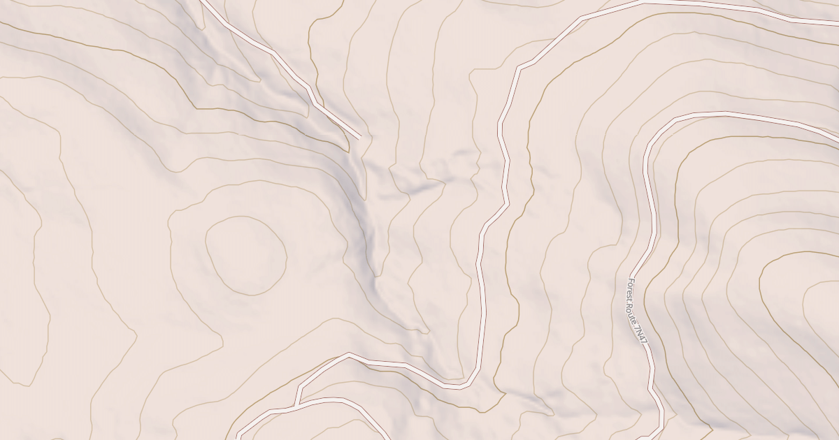 Map preview of USFS Motor Vehicle Use Map Roads {97BFF09B-6294-4025-91DB-723D8B420A3E}