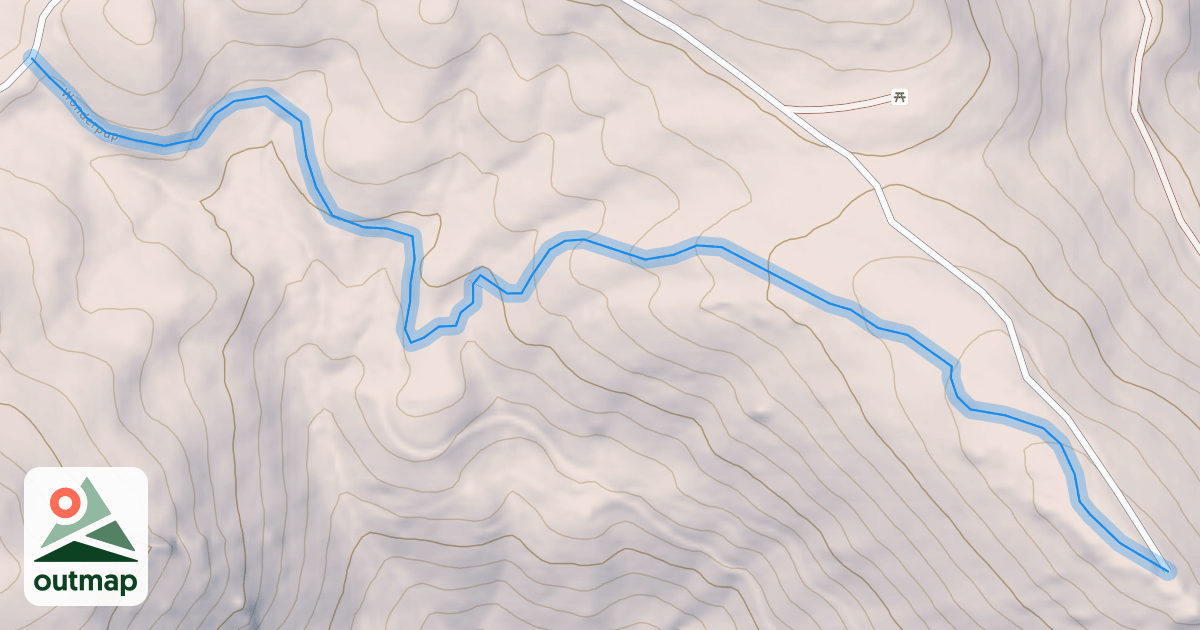 Map of Wonderpup