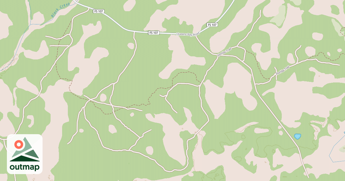 Map of USFS National Forest System Roads {6B745D26-B8AD-4F77-8D26-77C6851CEFFC}
