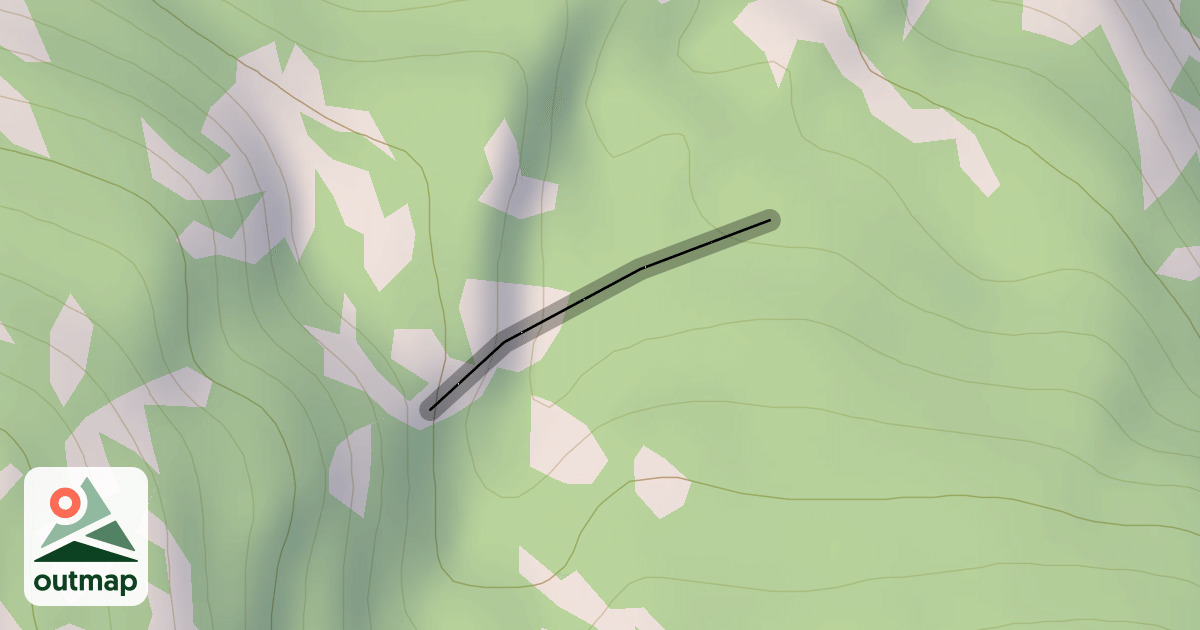 Map of Weird Woods