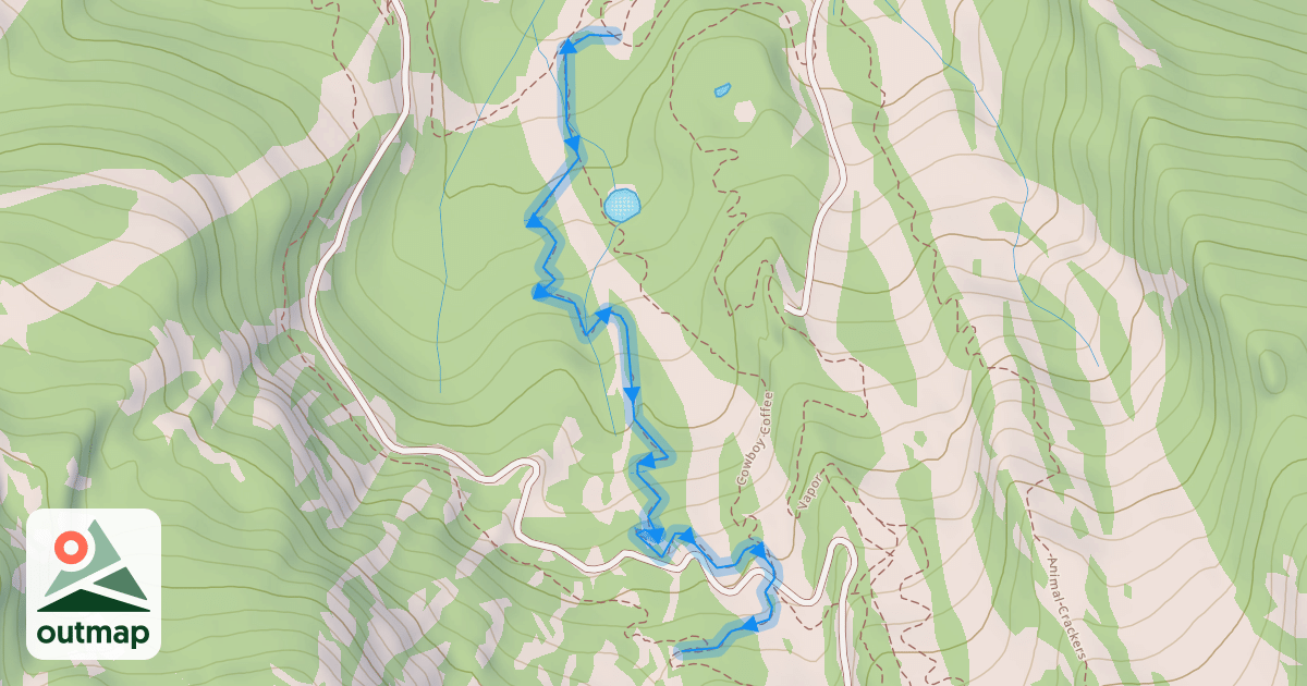 Map of Dust Bunny