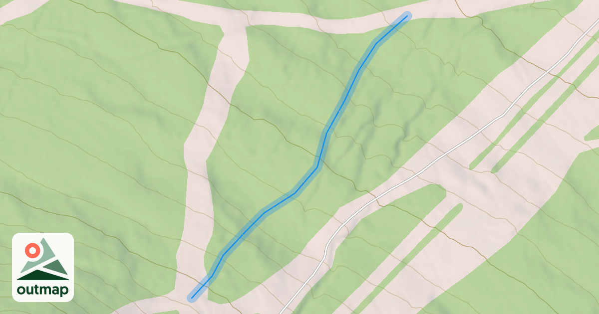 Map of Bushwacker