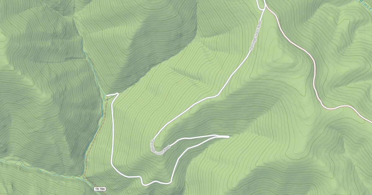 Map preview of PARTRIDGE GULCH