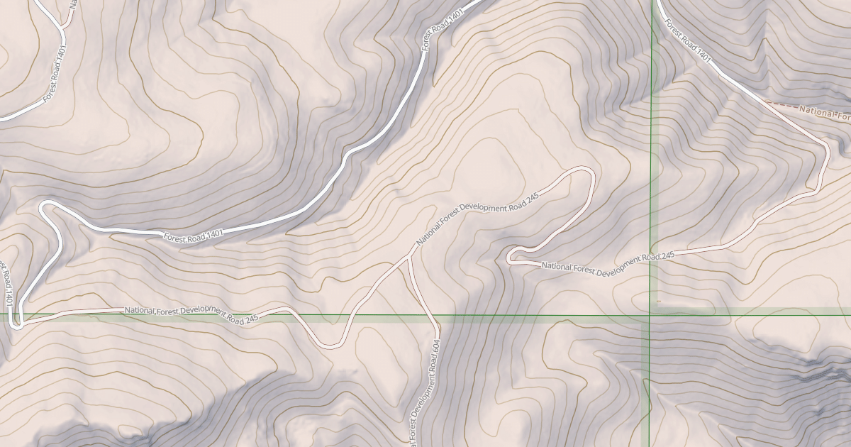 Map preview of USFS National Forest System Roads {8E6DA30E-2BCE-4A0A-8DB6-A0AE92AF2BD1}