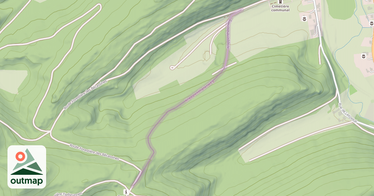Map of Krappenthalerweg