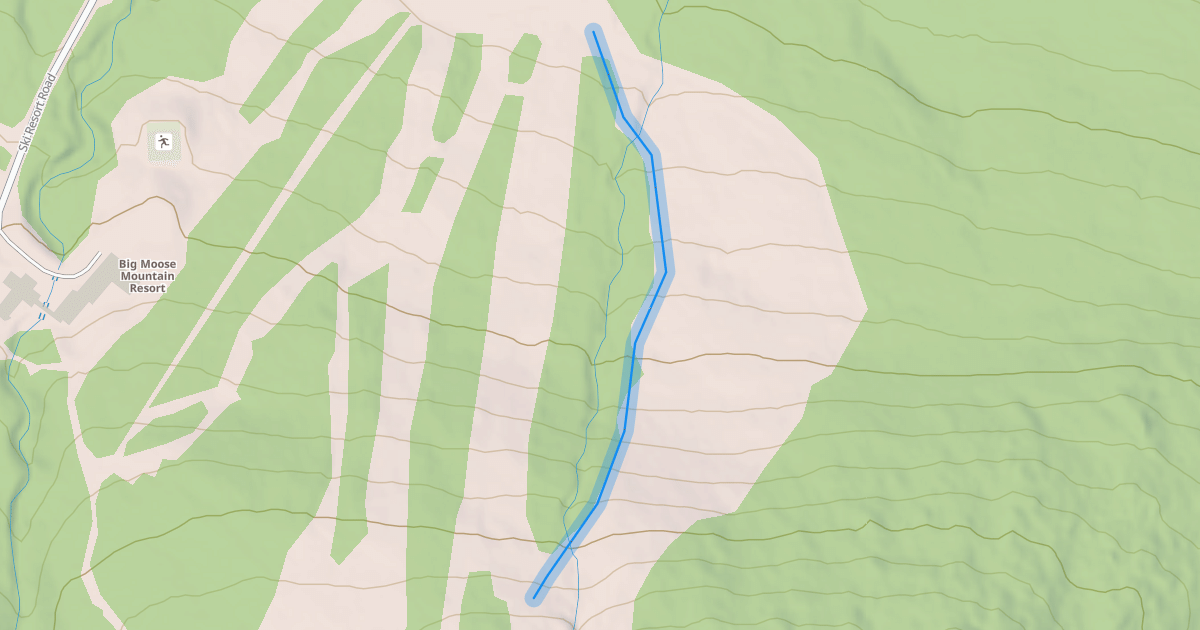 Map preview of Lower Allagash