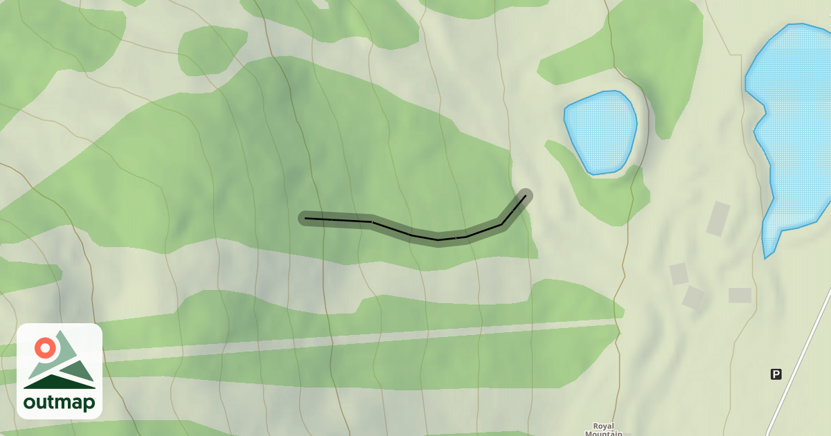Map of Gladed Jester