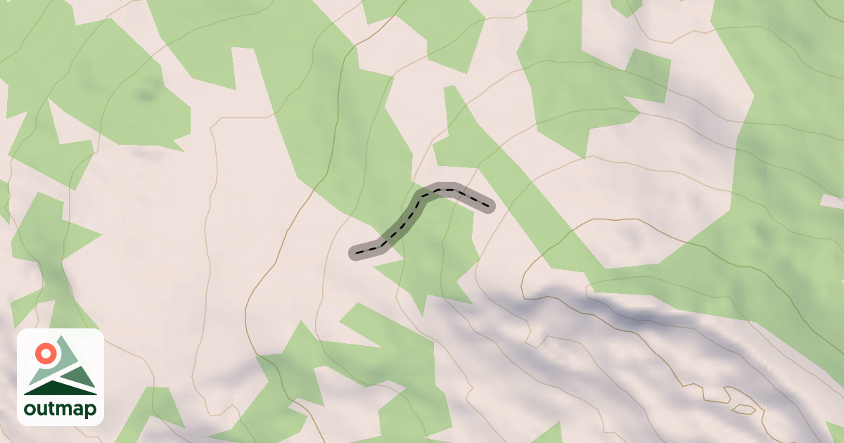 Map of W-Zero