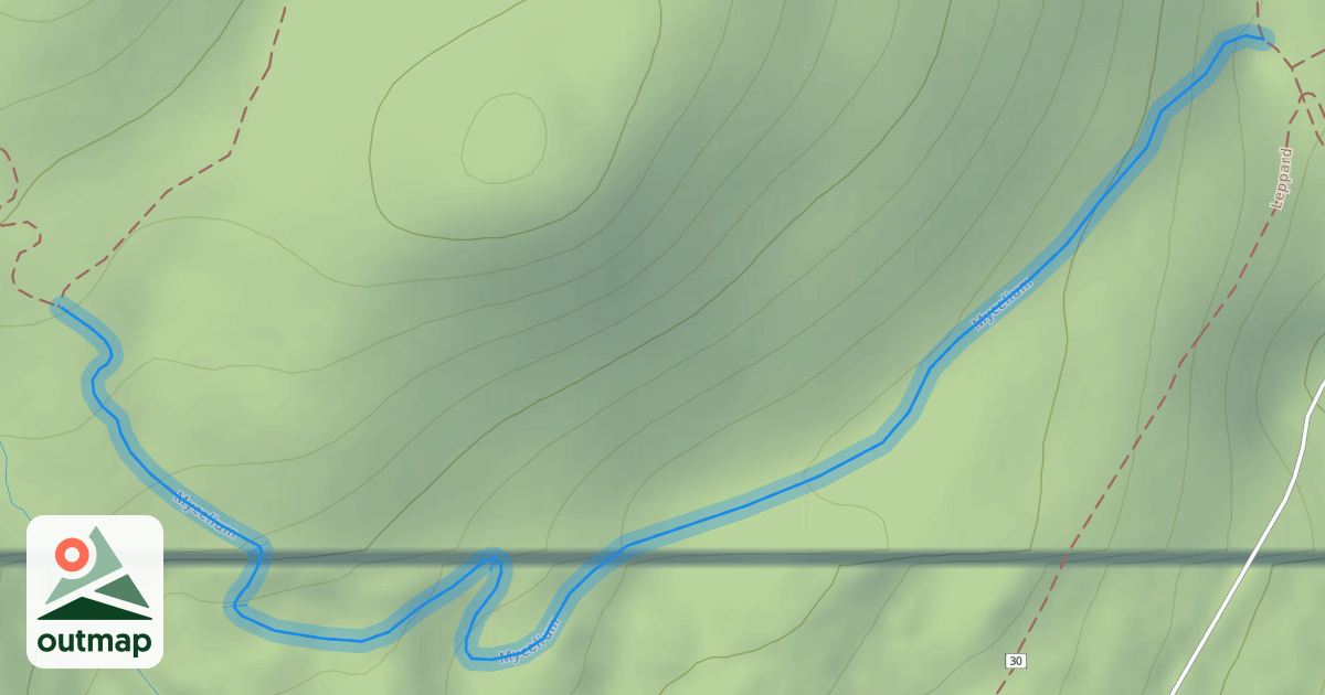 Map of Mycelium