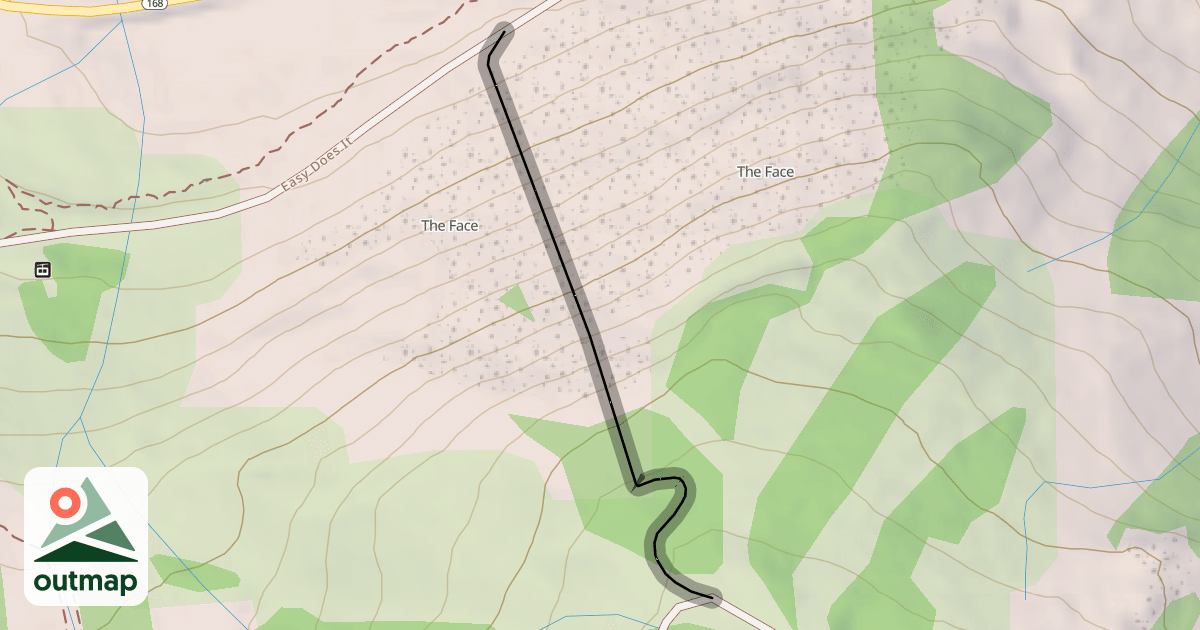 Map of The Face