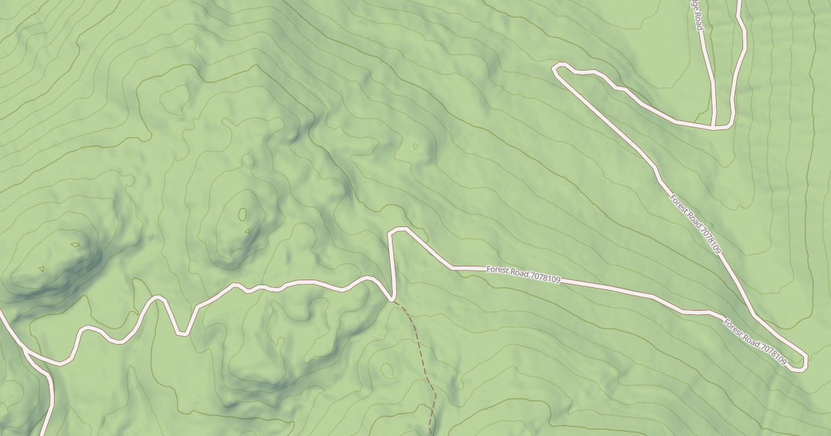 Map preview of USFS Motor Vehicle Use Map Roads {9499B1B1-4EF8-4D7E-8AE4-3A9F14D55EC3}