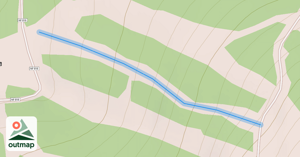 Map of Dante's Vision