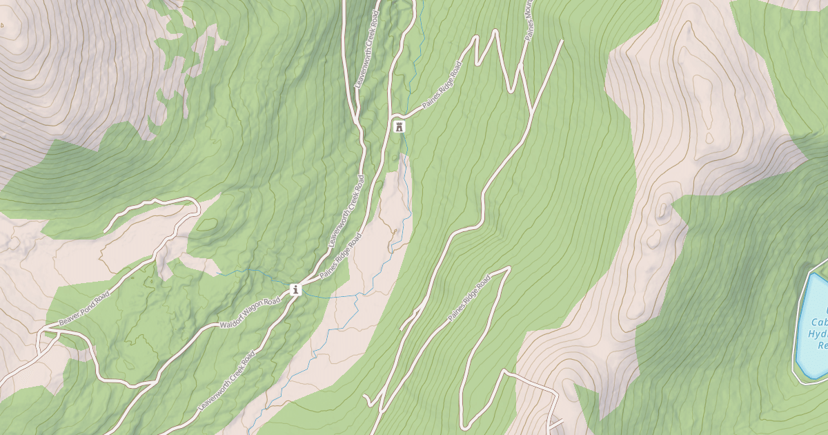 Map preview of PAINES RIDGE